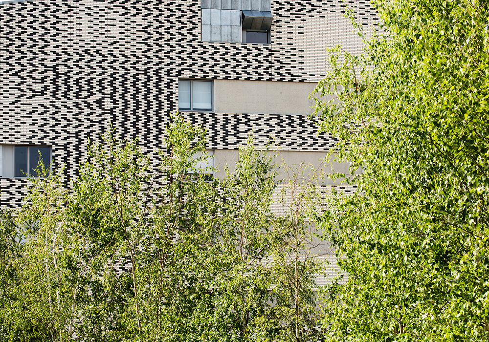 Dwellings in Toulouse: The Garden