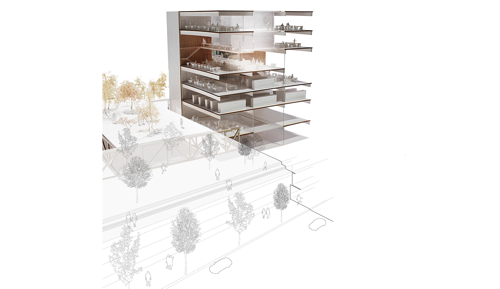 Section - Condorcet Campus - Josep Lluís Mateo