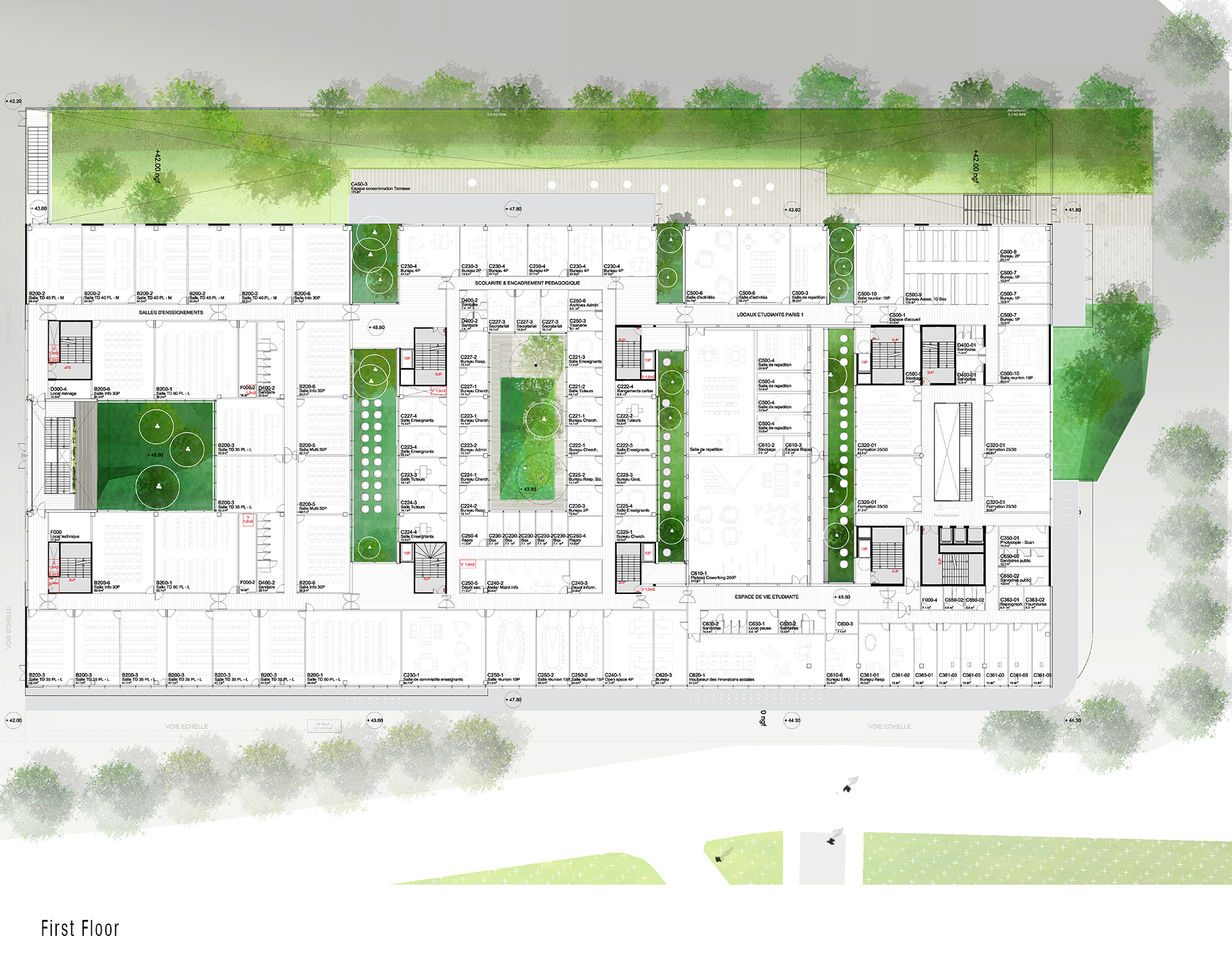First Floor - Condorcet Campus - Josep Lluís Mateo