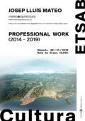 Professional Work